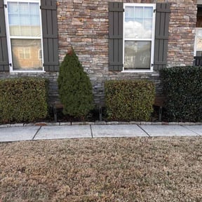 Bush Trimming by Salaam Lawn Care reviewed on August 18, 2025
