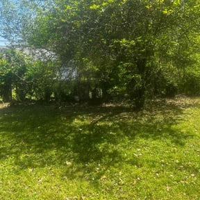 Bush Trimming by God's Gift Lawn maintenance reviewed on August 21, 2025
