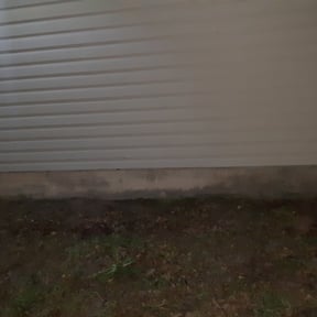 Leaf Removal by J's lawn service reviewed on August 19, 2025