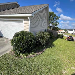 Bush Trimming by Cutter&#039;s  reviewed on November 10, 2025