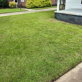 turf care by Lawn Care Solutions reviewed on August 18, 2025