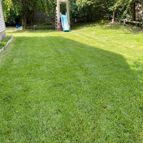 lawn service by Mola Property and Lawn Service reviewed on April 19, 2024