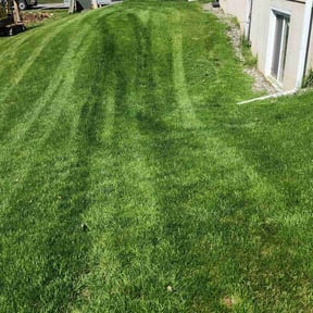 lawn care by Done right reviewed on August 29, 2024