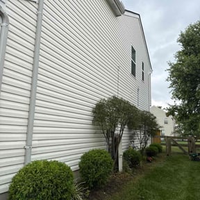 Bush Trimming by Leiva Earth works LLC reviewed on November 9, 2025