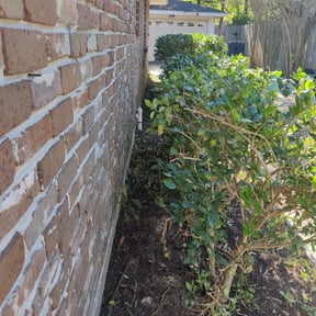 Bush Trimming by Mauler Mowing LLC reviewed on August 20, 2025
