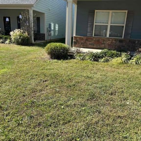 Bush Trimming by Forever Green Landscape reviewed on November 18, 2025