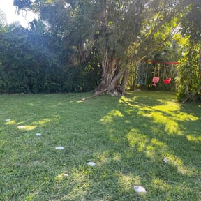 lawn care services by Buckeye Lawn Care Management, LLC reviewed on August 21, 2025