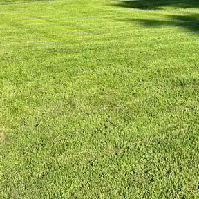 lawn maintenance by PryorProLawn reviewed on April 23, 2024