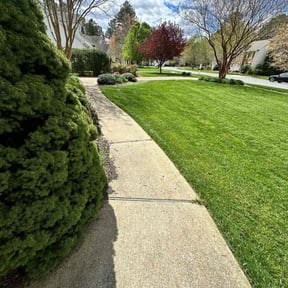 landscape maintenance by Mitchell's lawns reviewed on August 18, 2025