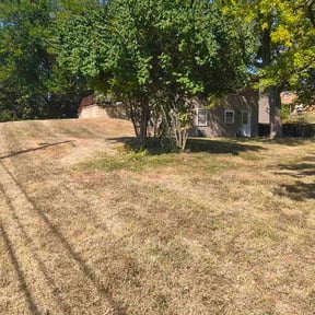 Bush Trimming by Family Lawn Care reviewed on November 9, 2025