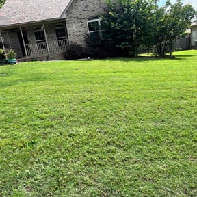 landscape maintenance by Clean Cut Land Management reviewed on August 21, 2025