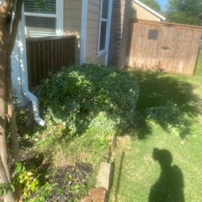 Bush Trimming by 716 Lawns & Landscaping reviewed on August 16, 2025