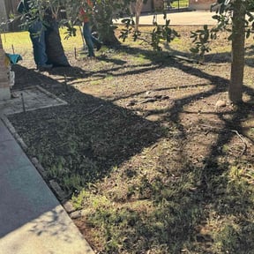 Leaf Removal by Cornerstone landscape &amp; design reviewed on September 7, 2025