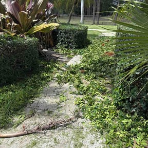 Bush Trimming by Rockmon landscape care reviewed on April 24, 2026