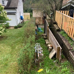 Bush Trimming by Zephyr lawncare reviewed on August 16, 2025