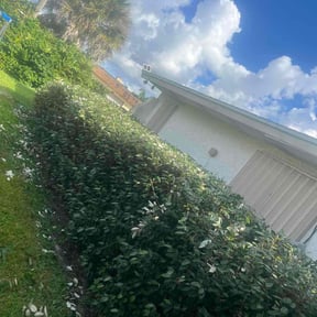 Bush Trimming by J&amp;M LawnCare Landscaping Management reviewed on October 20, 2025