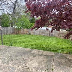 yard work by TH lawncare reviewed on August 15, 2025