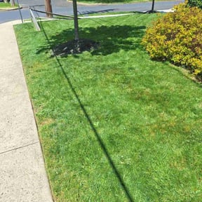 yard maintenance by Heiser Lawn and Residential Excavating reviewed on August 15, 2025