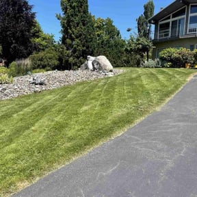 residential landscaping by Holder lawn care reviewed on August 19, 2025