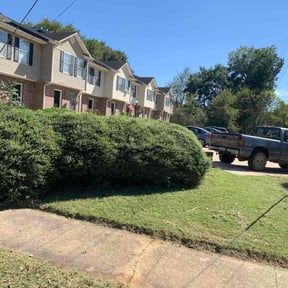 turf care by Innovative Property Services reviewed on April 19, 2024