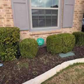 Bush Trimming by  reviewed on January 9, 2026