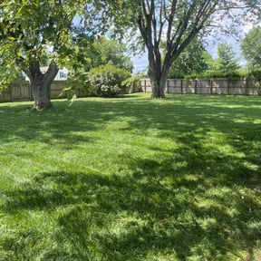 yard work by Hymers Landscaping reviewed on August 18, 2025