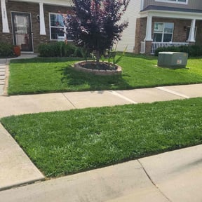lawn service by Pj’s Lawn &amp; Landscaping reviewed on August 21, 2025