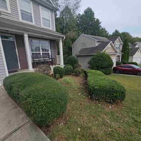 Bush Trimming by Ultimate Landscape Contractor reviewed on December 30, 2025