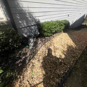 Bush Trimming by WashingtonLandscaping reviewed on October 22, 2025