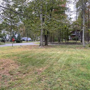 Leaf Removal by Orange Tree Properties LLC reviewed on September 9, 2025