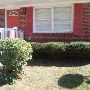 Bush Trimming by Supreme Home Services reviewed on August 19, 2025