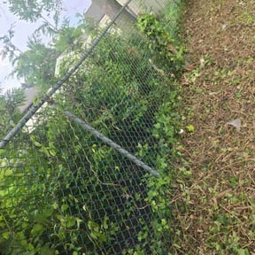 Leaf Removal by Lawn Pro reviewed on August 20, 2025