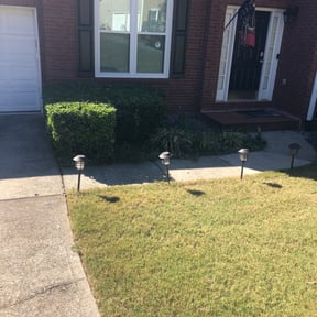 Bush Trimming by Ultimate Landscape Contractor reviewed on August 18, 2025
