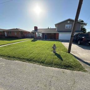 landscaping services by Early Risers Lawncare Service reviewed on August 21, 2025