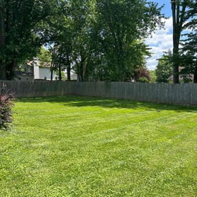 residential landscaping by Magnum Landscaping llc reviewed on August 21, 2025