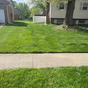 yard work by Ladrigan Lawncare LLC reviewed on December 25, 2025