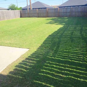 turf care by Mikes Landscaping reviewed on August 15, 2025