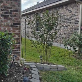 Bush Trimming by Lawncare reviewed on December 30, 2025