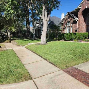 yard maintenance by Undefeated Landscaping LLC. reviewed on November 24, 2025