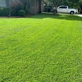 yard work by S&S Lawn Care reviewed on August 18, 2025