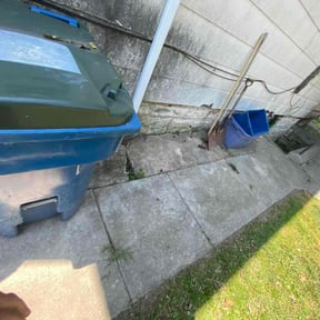 Bush Trimming by RJ's Lawn Care reviewed on August 16, 2025