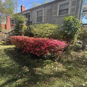 Bush Trimming by Mower man reviewed on March 25, 2026