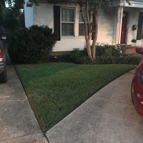 Bush Trimming by Lawn In Order reviewed on August 21, 2025