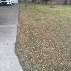Leaf Removal by Ez landscaping  reviewed on September 12, 2025