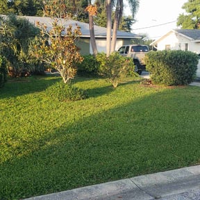 yard care by Mr. Kvr&#039;s Lawn Care Services reviewed on August 18, 2025