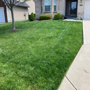 turf care by Mowing and landscaping reviewed on May 17, 2025