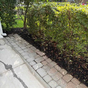 Bush Trimming by Tim's Quick Trim reviewed on August 6, 2026