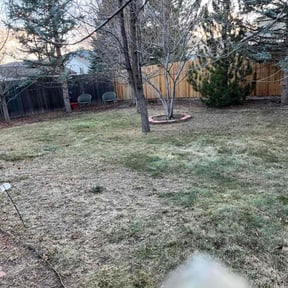 Leaf Removal by  reviewed on January 13, 2026