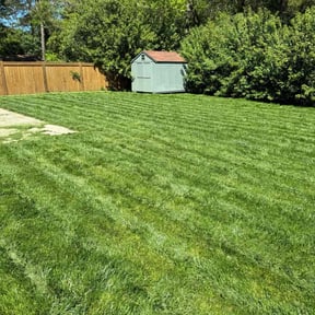 landscape maintenance by Terry Ziolkowski reviewed on August 20, 2025