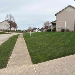 yard care by Mike's Mowing and Landscaping reviewed on August 15, 2025